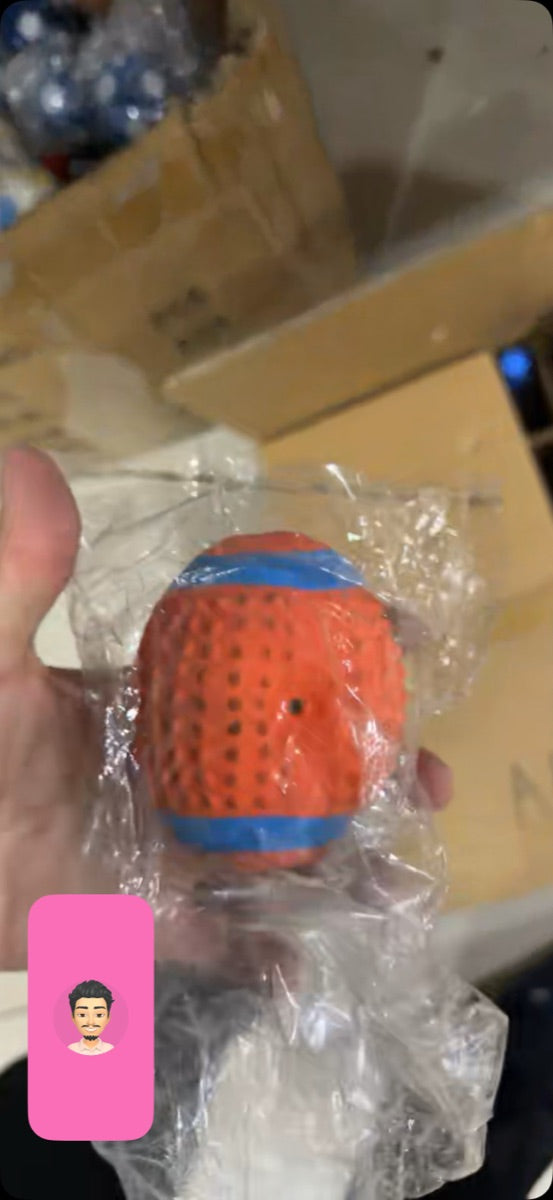 Pet Chew Toy Balls - Assorted Sports